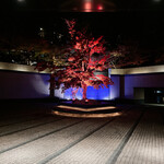 炭火鉄板焼　杜季 - 