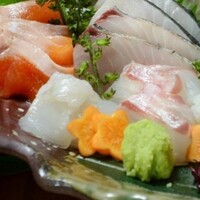 KOiBUMi - 