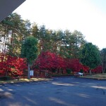 太平洋クラブ＆アソシエイツ益子コースレストラン - 