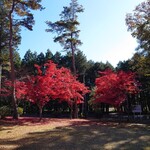 太平洋クラブ＆アソシエイツ益子コースレストラン - 