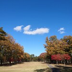 太平洋クラブ＆アソシエイツ益子コースレストラン - 