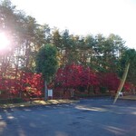 太平洋クラブ＆アソシエイツ益子コースレストラン - 