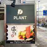 PLANT - 