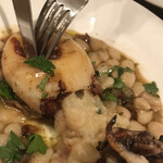 da Uma - アオリイカリピエノ　byまみこまみこ