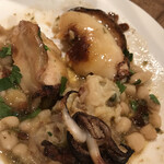 da Uma - アオリイカリピエノ　byまみこまみこ