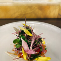 鮨 やまけん 銀座店 - 