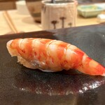 鮨 あらい - 車海老 レア