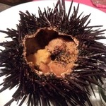 ビストロ椿 - 2013/5 105円で焼きウニが！他、生牡蠣or生ウニ