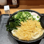 日本橋 讃岐うどん ほし野 - 