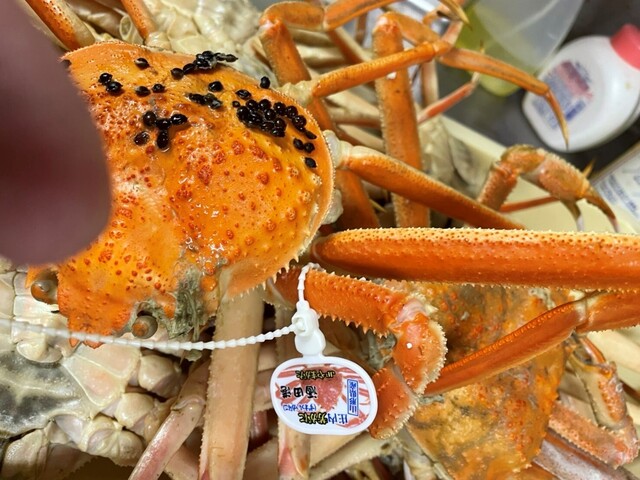 THEまぐろ番長 - 天童（居酒屋）の写真