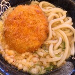はなまるうどん - 