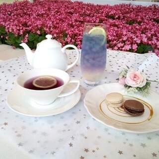 オーガニック女子必見！有機栽培のコーヒー生豆使用。