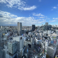 日本料理 旬彩 - 