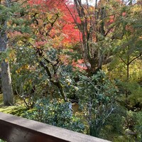 芹生 - 