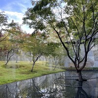 眞蔵 - 