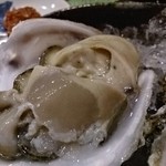 西洋料理 島 - ぷりぷりの牡蠣