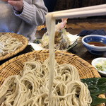 うずら家 - 瑞々しい細切り蕎麦。時期的に、新そばです。
