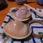 日の出 - この大きさの蛤は人生初