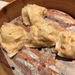 Shuumai Sakaba Ishii - 