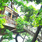 なんじゃもんじゃカフェ - 