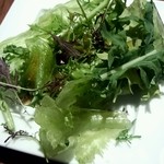 オルガニコ - サラダ