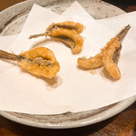 秋田 てんぷら みかわ - 