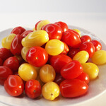 リーフデ・テラス - 