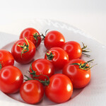 リーフデ・テラス - 