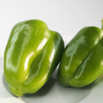 リーフデ・テラス - 