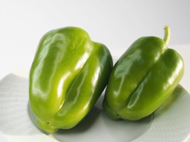 リーフデ・テラス - 志津川（カフェ）の写真