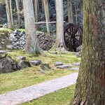 苔筵 - 漫画のような世界観