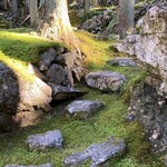 苔筵 - 朝日が堪らんです