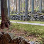 苔筵 - オーナー自ら15年以上かけたそうです