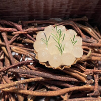 Installation Table ENSO L'asymetrie du calme - 