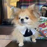 ウエスト青山ガーデン - 順番待ちの席で