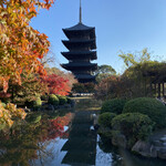 ミスター・ギョーザ - 東寺の紅葉も綺麗だった（境内）