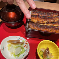 炭焼 うな富士 有楽町店 - 