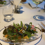 レフェルヴェソンス - 