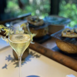 レフェルヴェソンス - 