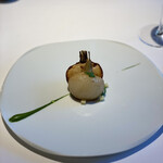 レフェルヴェソンス - 