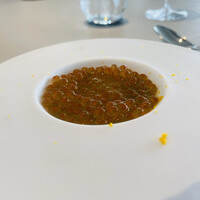 SEZANNE - 