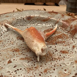 緒方 - 湯引き間人蟹　爪