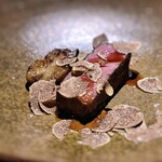 TOSAGE - こんがりと良き火入れのフィレ肉。