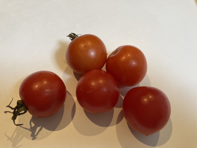 鳥かつ - 桜水（焼き鳥）の写真