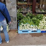 民宿モリ - 野沢菜を買いに来た