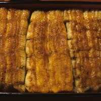 五代目 野田岩 麻布飯倉本店 - 