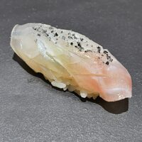 鮨 かぐら - 「鹿児島 真鯛」