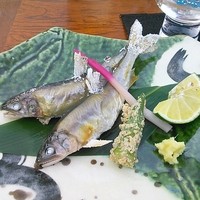 眺河　先斗町～華～ - 