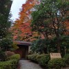 箱根小涌園 美山楓林