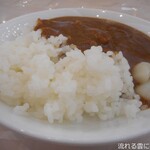 Kotohira Onsen Kotosankaku - カレーライス